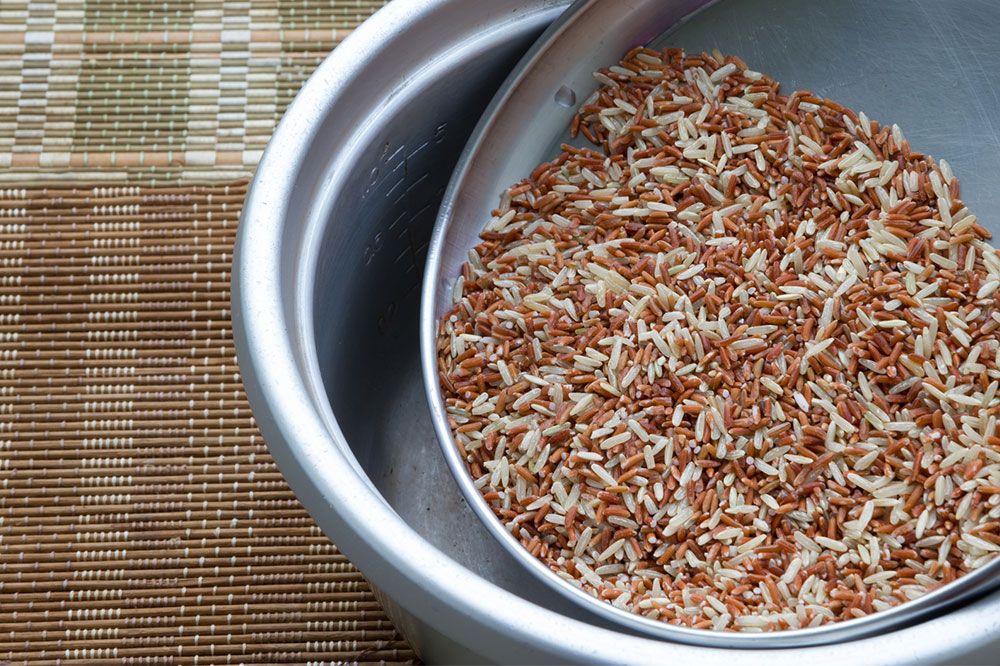 Healthy Doggie Meals to Make at Home